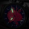 Pirate Skull Watch