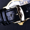 Luxury Skeleton Watch